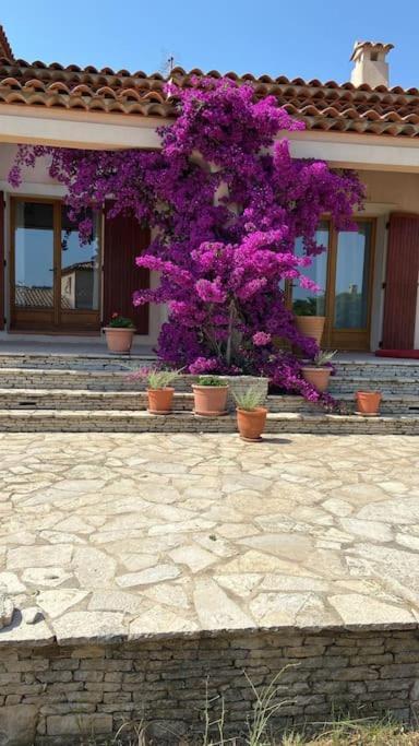 Villa Avec Jardin Au Calme A 7 Min De Cassis Roquefort-la-Bedoule Exterior photo